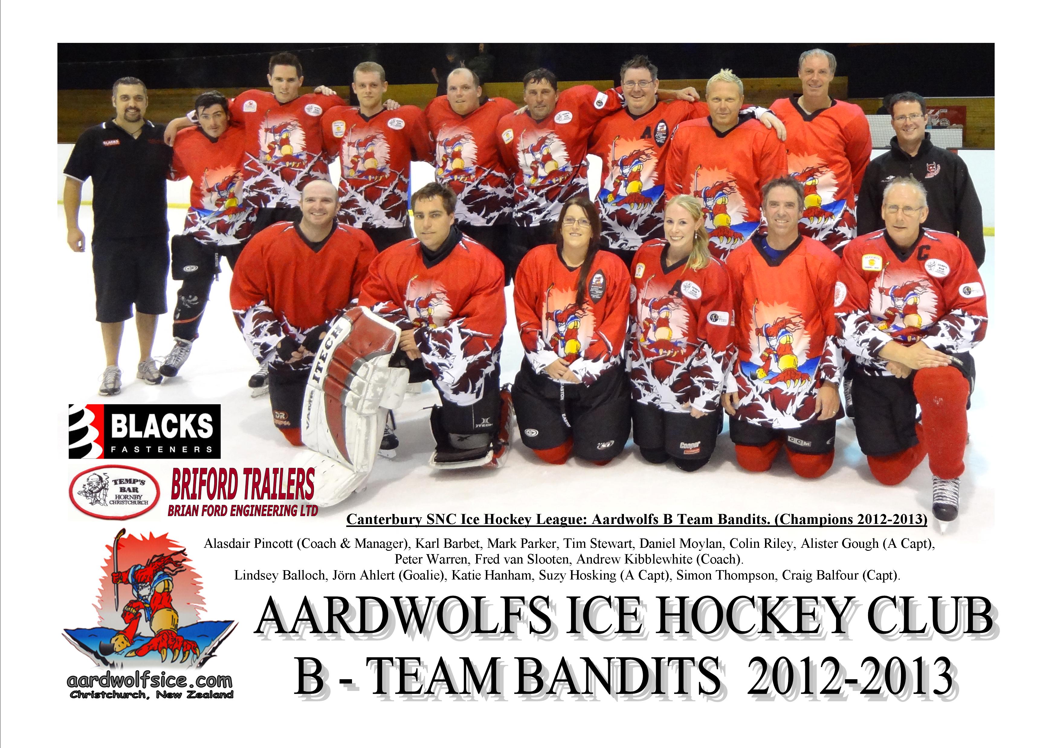 Aardwolfs B Team